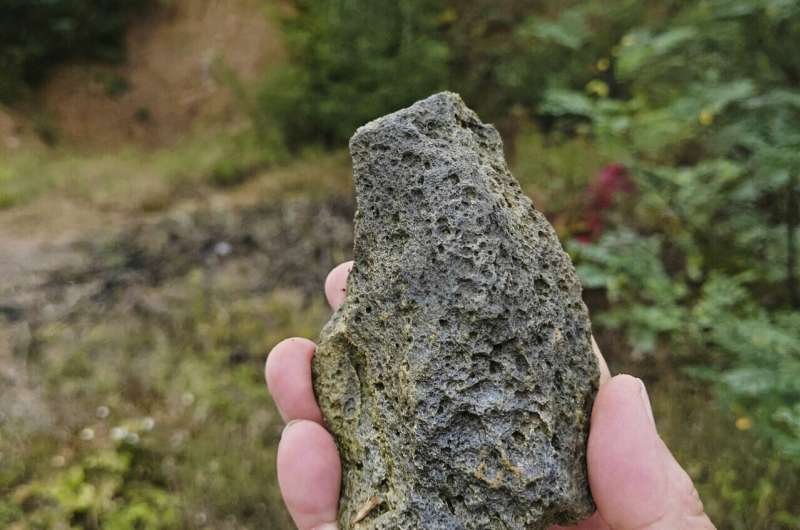 Ancient stone tools found in Ukraine date to over 1 million years ago, and may be oldest in Europe